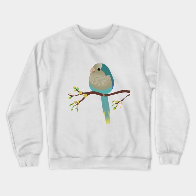 Cute egg shaped blue quaker parrot or monk parakeet Crewneck Sweatshirt by Bwiselizzy